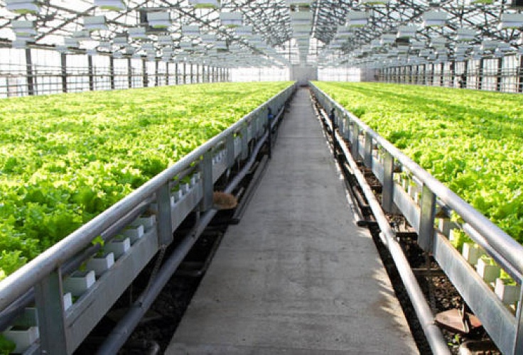 Распределительное устройство