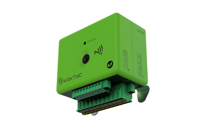 Кактус– тепловизионное реле защиты